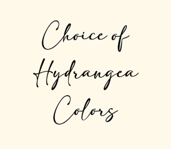 Colors are based on availability