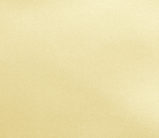 Duchess Satin Linen Color: Wheat
