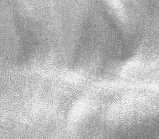 Tissue Lame Linen Color: Silver