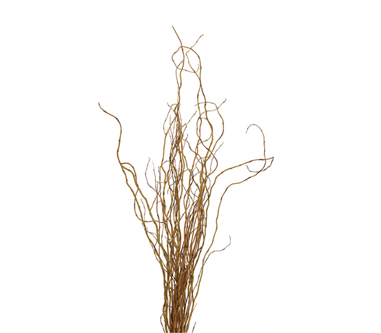 Willow Curly Tips G1131DV